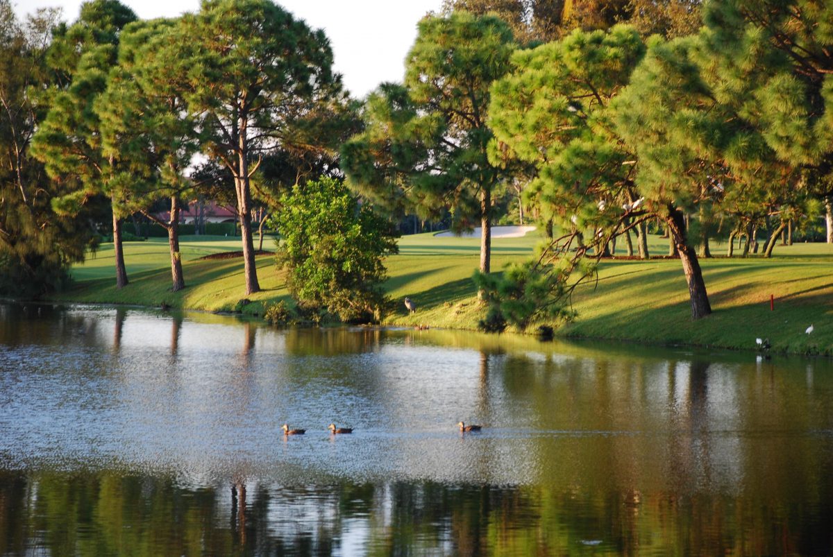 Jonathan's Landing Rentals Jonathan's Landing Rentals